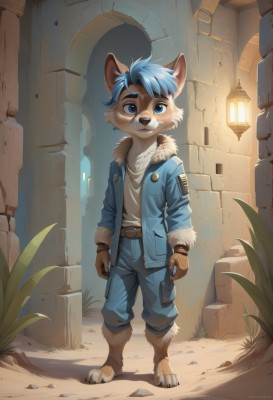 solo,looking at viewer,smile,short hair,open mouth,blue eyes,shirt,long sleeves,1boy,animal ears,blue hair,standing,jacket,tail,full body,white shirt,male focus,outdoors,open clothes,barefoot,belt,pants,artist name,signature,open jacket,fur trim,watermark,plant,denim,blue jacket,furry,pocket,blue pants,fur-trimmed jacket,furry male,male child,body fur,white fur,animal nose,snout,alley,denim jacket,blush,bangs,gloves,closed mouth,parted lips,teeth,day,indoors,fox ears,fox tail,happy,sunlight,web address,claws,buckle,brown gloves,zipper,fur collar,light rays,lantern,belt buckle,arms at sides,lamp,ruins,brown fur,two-tone fur,fox boy,blue fur