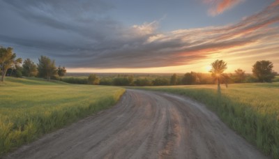 outdoors,sky,day,cloud,tree,blue sky,no humans,sunlight,cloudy sky,grass,plant,nature,scenery,forest,sunset,sun,horizon,road,bush,field,evening,landscape,path