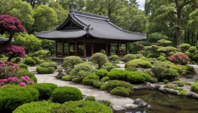 flower,outdoors,sky,day,cloud,water,tree,blue sky,no humans,grass,cherry blossoms,nature,scenery,forest,rock,bush,architecture,east asian architecture,shrine,path,stone,pond,stone lantern,plant,building,river,garden