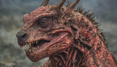 solo,open mouth,outdoors,horns,sky,teeth,tongue,cloud,blurry,no humans,blurry background,fangs,cloudy sky,sharp teeth,1other,spikes,monster,from side,veins,realistic,scales,horror (theme),dinosaur