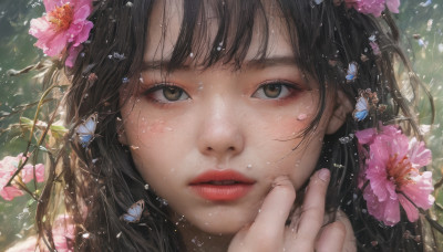 1girl, solo, long hair, looking at viewer, bangs, brown hair, black hair, hair ornament, brown eyes, flower, parted lips, hand up, hair flower, lips, fingernails, eyelashes, bug, butterfly, portrait, close-up, pink flower, water drop, realistic, nose