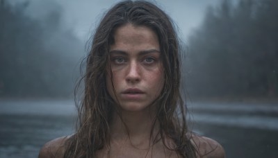 1girl,solo,long hair,looking at viewer,brown hair,black hair,brown eyes,closed mouth,green eyes,upper body,outdoors,parted lips,water,blurry,lips,wet,depth of field,blurry background,expressionless,messy hair,portrait,freckles,rain,realistic,wet hair,straight-on,ocean,beach,forehead,wide-eyed,dirty,dirty face