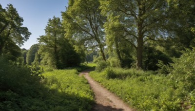 outdoors,sky,day,tree,blue sky,no humans,grass,plant,nature,scenery,forest,road,bush,path,cloud,landscape