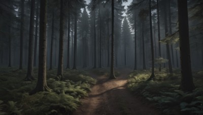 outdoors,day,tree,no humans,leaf,sunlight,grass,plant,nature,scenery,forest,light rays,road,bush,path,dark,dappled sunlight,landscape