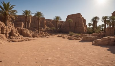 outdoors,sky,day,tree,blue sky,no humans,shadow,beach,scenery,rock,sand,palm tree,ruins,desert,cloud,water,sunlight,sun