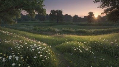 flower,outdoors,sky,cloud,tree,no humans,sunlight,grass,white flower,nature,scenery,forest,sunset,sun,field,lens flare,evening,gradient sky,sunrise,daisy