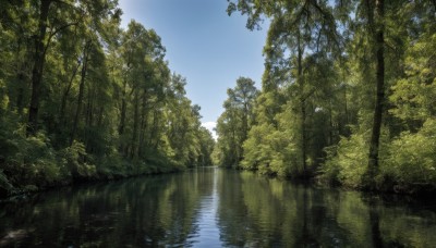 outdoors,sky,day,cloud,signature,water,tree,blue sky,dutch angle,no humans,sunlight,nature,scenery,forest,reflection,river,lake,reflective water,plant,bush