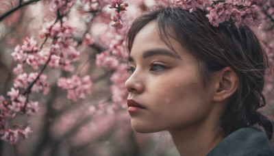 1girl, multiple girls, brown hair, black hair, green eyes, mole, blurry, tree, lips, depth of field, cherry blossoms, freckles, realistic, nose