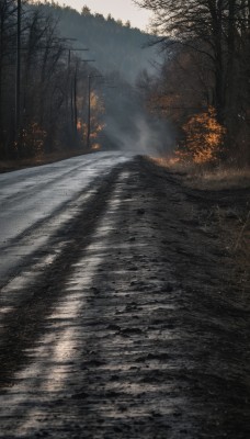 outdoors,day,water,tree,no humans,sunlight,nature,scenery,snow,forest,smoke,road,bare tree,river,fog,sky,cloud,grass,fire,sunset,mountain,landscape,lake