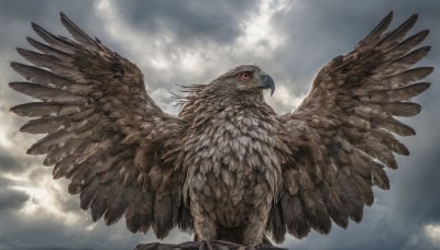 solo,red eyes,closed mouth,outdoors,wings,sky,day,cloud,pokemon (creature),no humans,bird,from below,cloudy sky,feathers,looking up,animal focus,beak,spread wings,animal,feathered wings,flying,owl,talons,brown wings