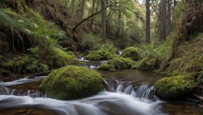 outdoors,day,water,tree,no humans,nature,scenery,forest,rock,river,waterfall,landscape,moss,stream,signature,sunlight