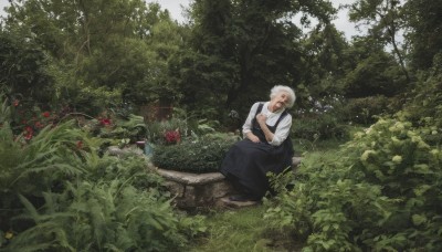 1girl,solo,short hair,shirt,1boy,dress,sitting,closed eyes,white shirt,flower,white hair,male focus,outdoors,day,apron,black dress,tree,facial hair,grass,plant,nature,scenery,sleeves rolled up,forest,old,old man,black apron,long sleeves,leaf,realistic,old woman,garden