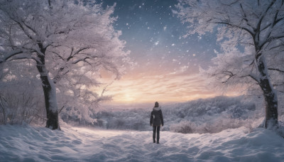 1girl, solo, black hair, standing, outdoors, sky, cloud, hood, water, from behind, tree, coat, star (sky), scenery, snow, sunset, horizon, wide shot, winter, footprints