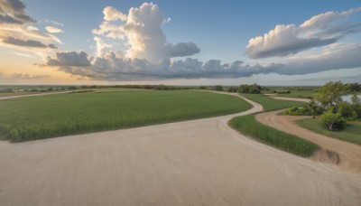 outdoors,sky,day,cloud,tree,blue sky,no humans,cloudy sky,grass,nature,scenery,sunset,road,bush,field,landscape,path,hill,monochrome,sand