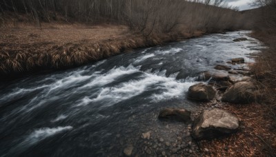 outdoors,water,tree,no humans,grass,nature,scenery,forest,rock,river,waves,shore,log,sky,bare tree,landscape