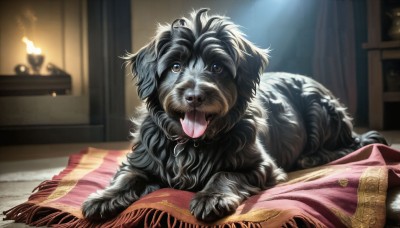 HQ,looking at viewer,brown eyes,tongue,indoors,tongue out,blurry,no humans,blurry background,animal,fangs,fire,curtains,dog,realistic,blanket,candle,animal focus,carpet,rug,fireplace,solo,lying,signature,flame