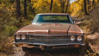 outdoors,day,tree,no humans,leaf,grass,ground vehicle,nature,scenery,motor vehicle,forest,car,road,autumn leaves,vehicle focus,autumn,sports car,realistic,wheel