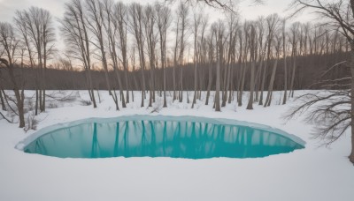 outdoors,sky,cloud,water,tree,no humans,cloudy sky,nature,scenery,snow,forest,reflection,winter,bare tree,river,landscape,lake,grass,reflective water