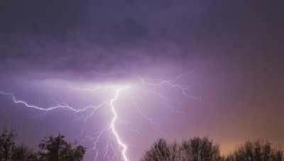 outdoors,sky,cloud,tree,no humans,night,cloudy sky,grass,nature,scenery,forest,sunset,electricity,purple theme,lightning,purple sky