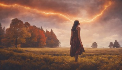 1girl,solo,long hair,skirt,shirt,black hair,dress,standing,white shirt,outdoors,sky,sleeveless,cloud,from behind,tree,cloudy sky,grass,nature,scenery,forest,facing away,field,lightning,sleeveless dress,arms at sides