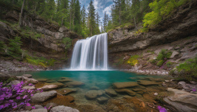 flower, outdoors, sky, day, cloud, water, tree, blue sky, dutch angle, no humans, nature, scenery, forest, rock, waterfall, landscape