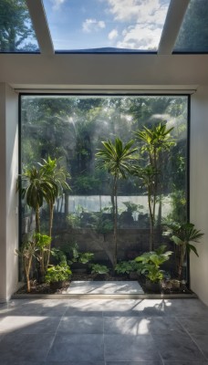 outdoors,sky,day,cloud,indoors,tree,blue sky,no humans,window,shadow,ocean,sunlight,cloudy sky,plant,scenery,light rays,palm tree,potted plant,shade,sunbeam,signature,leaf,tiles,tile floor