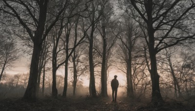 solo,1boy,standing,male focus,outdoors,sky,from behind,tree,sunlight,grass,nature,scenery,forest,backlighting,silhouette,bare tree,fog,cloud,cloudy sky,sunset,dark,wide shot,landscape,path