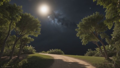 outdoors,sky,artist name,cloud,signature,tree,no humans,night,shadow,watermark,moon,grass,plant,star (sky),nature,night sky,scenery,full moon,forest,starry sky,road,bush,path,moonlight