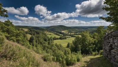 outdoors,sky,day,cloud,tree,blue sky,no humans,bird,cloudy sky,grass,nature,scenery,forest,rock,mountain,road,bush,wall,landscape,path,hill,cliff,stone wall,horizon