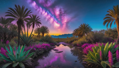 flower, outdoors, sky, water, tree, no humans, night, plant, star (sky), nature, night sky, scenery, starry sky, reflection, sunset, palm tree