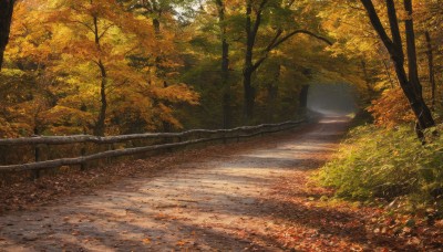 outdoors,day,tree,dutch angle,no humans,leaf,sunlight,grass,nature,scenery,forest,road,autumn leaves,autumn,path,realistic,fence,landscape