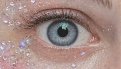 solo,looking at viewer,blue eyes,1boy,black eyes,eyelashes,close-up,1other,reflection,bubble,water drop,eye focus,1girl,bangs,yellow eyes,petals