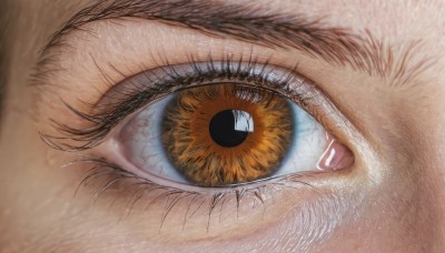 solo,looking at viewer,open mouth,1boy,brown eyes,yellow eyes,male focus,orange eyes,eyelashes,traditional media,close-up,1other,reflection,realistic,eye focus,1girl,bangs,blue eyes,black hair