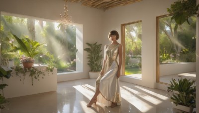 1girl,solo,looking at viewer,short hair,bangs,brown hair,black hair,dress,bare shoulders,brown eyes,sitting,closed mouth,full body,flower,barefoot,sleeveless,day,indoors,white dress,tree,window,sleeveless dress,shadow,sunlight,plant,scenery,reflection,light rays,long dress,potted plant,jewelry,artist name,blunt bangs,high heels,wide shot