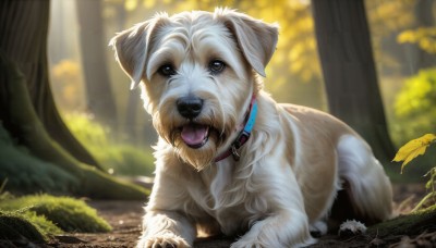 HQ,solo,brown eyes,outdoors,day,tongue,signature,tongue out,blurry,black eyes,collar,tree,no humans,depth of field,blurry background,animal,leaf,sunlight,grass,plant,nature,forest,dog,realistic,animal focus,animal collar,looking at viewer,open mouth,fangs,foliage