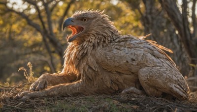 solo,open mouth,sitting,yellow eyes,outdoors,wings,day,blurry,tree,pokemon (creature),no humans,depth of field,blurry background,bird,grass,nature,forest,animal focus,beak,lying,signature,from side,animal,feathers,on stomach,claws,monster,realistic,branch,talons