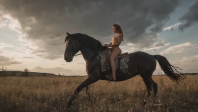 1girl,solo,long hair,breasts,brown hair,black hair,medium breasts,sitting,nipples,nude,outdoors,sky,barefoot,cloud,from side,bird,animal,cloudy sky,grass,scenery,riding,field,wide shot,horse,horseback riding,swimsuit,bikini,day,saddle