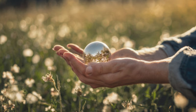 long sleeves, 1boy, holding, flower, outdoors, blurry, fingernails, depth of field, blurry background, sunlight, close-up, lens flare, out of frame, realistic, bokeh