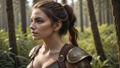 1girl,solo,long hair,breasts,blue eyes,brown hair,cleavage,brown eyes,jewelry,medium breasts,collarbone,upper body,ponytail,earrings,outdoors,parted lips,day,armor,blurry,tree,lips,eyelashes,depth of field,blurry background,looking away,shoulder armor,portrait,nature,forest,pauldrons,realistic,nose,stud earrings,hair pulled back,closed mouth,braid,sunlight,shoulder pads,dappled sunlight