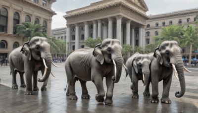 outdoors,horns,sky,day,tree,no humans,window,animal,ground vehicle,building,scenery,motor vehicle,dog,realistic,car,road,lamppost,street,pavement,crosswalk,cloud,horse,statue,elephant