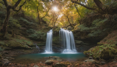 outdoors, water, tree, no humans, sunlight, nature, scenery, forest, rock, river, waterfall, stream