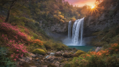 flower, outdoors, sky, cloud, water, tree, no humans, sunlight, grass, nature, scenery, forest, sunset, rock, mountain, sun, river, waterfall, landscape