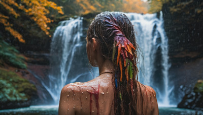 1girl, solo, long hair, upper body, nude, outdoors, water, from behind, blurry, wet, depth of field, blurry background, back, facing away, wet hair, waterfall