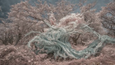 outdoors,sky,day,cloud,tree,blue sky,petals,no humans,cherry blossoms,nature,scenery,branch,spring (season),plant,field,landscape