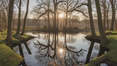 outdoors,sky,day,cloud,water,tree,no humans,sunlight,grass,nature,scenery,forest,reflection,light rays,mountain,sun,bare tree,river,landscape,lake,sunset,sunrise