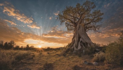 outdoors,sky,cloud,signature,tree,blue sky,no humans,sunlight,cloudy sky,grass,nature,scenery,forest,sunset,sun,landscape,rock