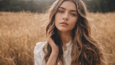 1girl,solo,long hair,looking at viewer,brown hair,shirt,brown eyes,white shirt,upper body,outdoors,parted lips,collared shirt,hand up,blurry,lips,grey eyes,depth of field,blurry background,wavy hair,freckles,realistic,day,thick eyebrows,portrait,field