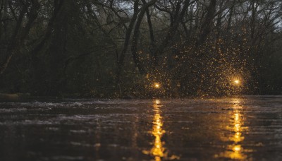 outdoors,sky,water,tree,no humans,night,glowing,nature,scenery,light particles,forest,reflection,river,lake,reflective water,star (sky),night sky,starry sky,light,dark,bare tree