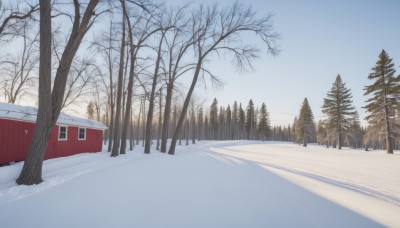 outdoors,sky,day,cloud,tree,blue sky,no humans,window,building,nature,scenery,snow,forest,mountain,road,house,winter,bare tree,footprints,pine tree,ground vehicle,motor vehicle,truck