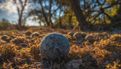 outdoors, sky, day, cloud, blurry, tree, blue sky, no humans, depth of field, nature, scenery, planet, landscape